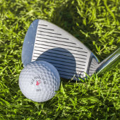 Modern Monogram Talk Birdie to Me Golfing Flamingo Golfballen