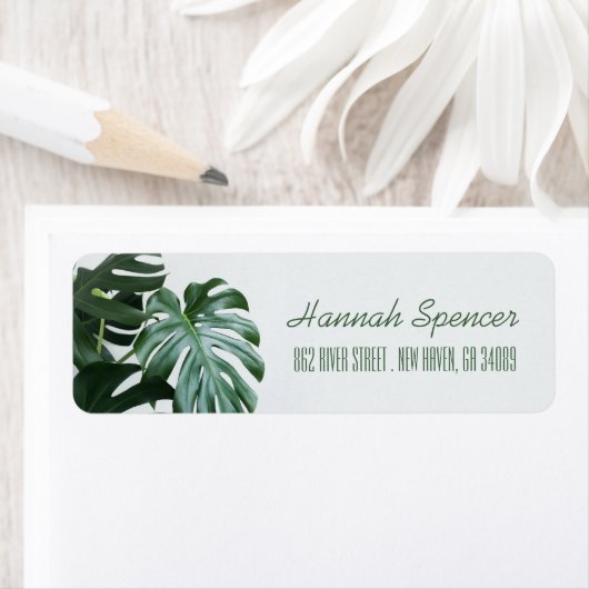 Modern Monstera Etiket (Insitu)