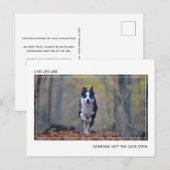 Modern Motivatie Hond Afstuderen Gefeliciteerd Briefkaart (Voorkant / Achterkant)