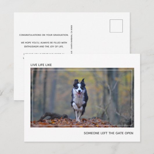 Modern Motivatie Hond Afstuderen Gefeliciteerd Briefkaart (Voorkant / Achterkant)