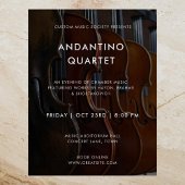 Modern Music Concert Photo Template Poster