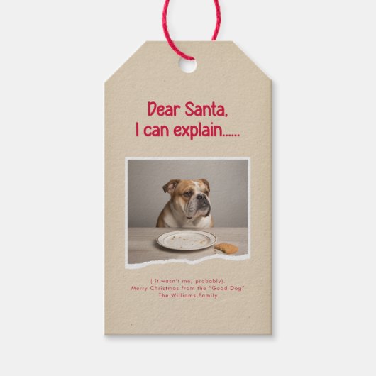 Modern Naughty Funny Dog Pet Photo Christmas Cadeaulabel (Voorkant)