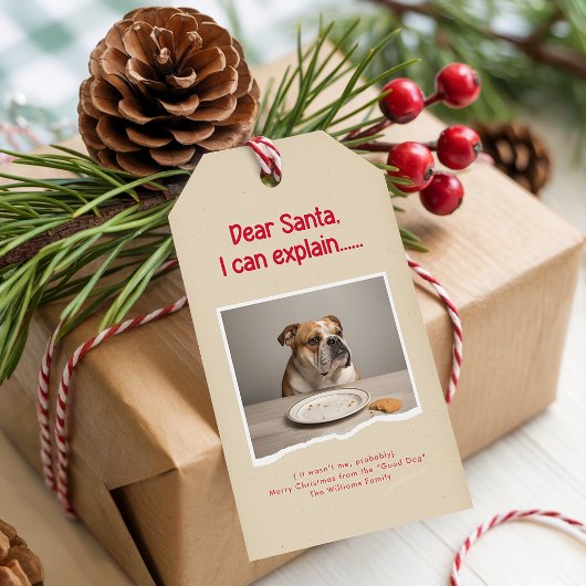Modern Naughty Funny Dog Pet Photo Christmas Cadeaulabel