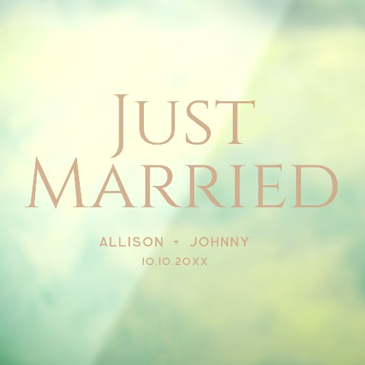 Modern net getrouwd bruiloft receptie autosticker raamsticker (Vel 3)