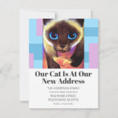 Modern nieuw adres We hebben huisdier kat tekst ve Aankondiging (Voorkant)