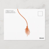 Modern Oranje Tassel Graduation Party Briefkaart (Achterkant)