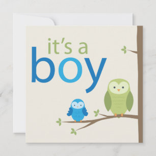 Modern Owl Baby shower Invitation - Boy Kaart