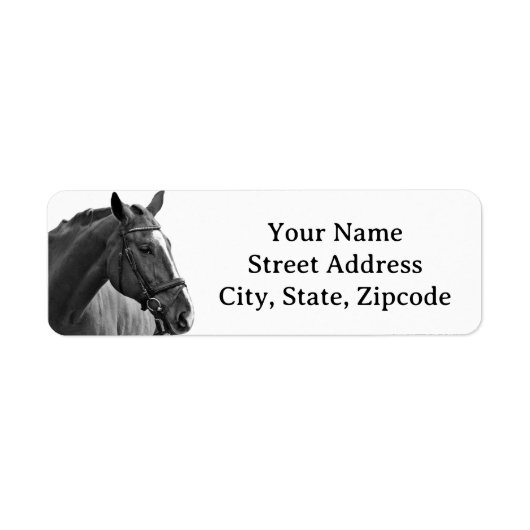 Modern Paard Zwart en Wit Equestrian Etiket (Voorkant)
