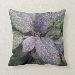 Modern Paarse Sage Garden Herb Foto Kussen