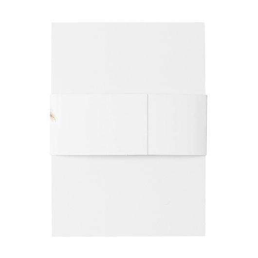 Modern Pampas Grass Boho Terracotta Wedding Uitnodigingen Wikkel (Achterkant Voorbeeld)