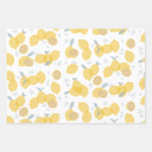 Modern pastel citrus citruscitroenen patroon inpakpapier vel (Voorkant 3)