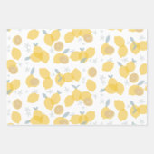 Modern pastel citrus citruscitroenen patroon inpakpapier vel (Voorkant 2)