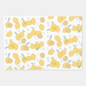 Modern pastel citrus citruscitroenen patroon inpakpapier vel (Voorkant)