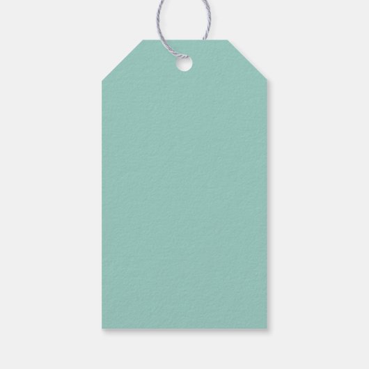 Modern Pastel Space Explorer Baby shower Cadeaulabel (Achterkant)