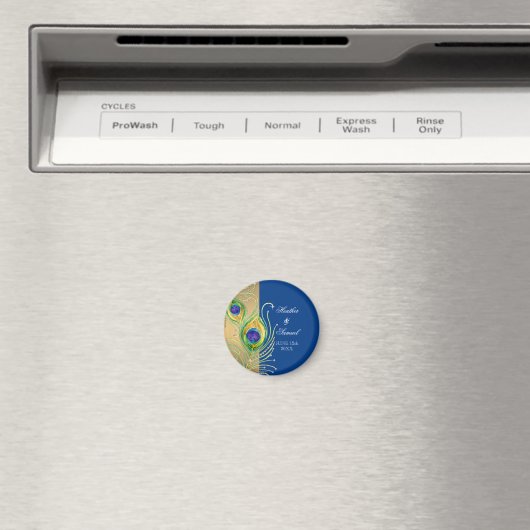 Modern Peacock Feathers Faux Jewel Scroll Swirl Magneet (Insitu (Vaatwasser))