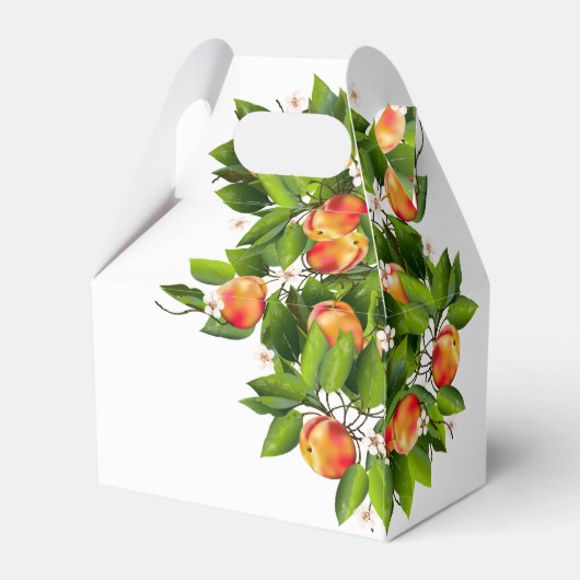 Modern perzikfruit | Bruiloft gunst box Bedankdoosjes (Achterkant)