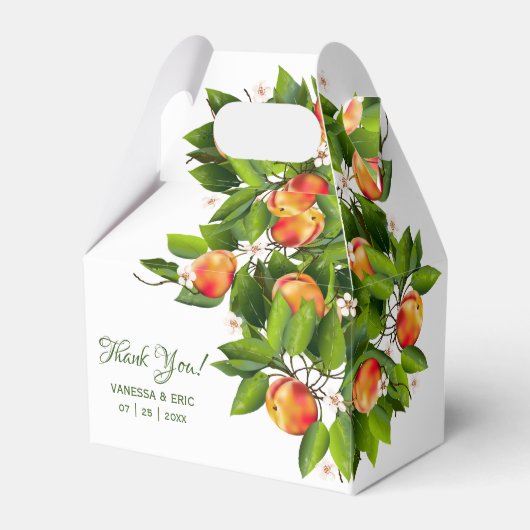 Modern perzikfruit | Bruiloft gunst box Bedankdoosjes (Voorkant Zijde)