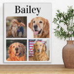 Modern Pet 4 Afbeelding Collage personaliseert Hon Imitatie Canvas Print<br><div class="desc">Viel uw beste vriend met een de canvasdruk van de de fotocollage van de douane huisdier. Of je nu een nieuwe puppy hebt, of om elk jaar alle speciale momenten te onthouden, elk huisdier verdient een gepersonaliseerd petfotocanvas! Ons doek van de hondenfoto heeft 9 foto's, gewaagde monogram om zich te...</div>