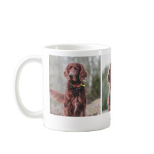 Modern Pet Dog Custom Photo