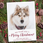 Modern Pet-foto, prettig kerstfeest van de hond Feestdagenkaart<br><div class="desc">We wilden je een prettige kerst geven. Verstuur leuke feestvreugde met deze superschattige persoonlijke, persoonlijke, persoonlijke feestelijke fotokaart. Vrolijk kerstwensen van de hond met schattige pootafdrukken in een leuk modern fotoontwerp. Voeg de foto of familiefoto van uw hond toe met de hond, en personaliseer met familienaam, bericht en jaar. Deze...</div>