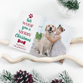 Modern Pet-foto, prettig kerstfeest van de hond Feestdagenkaart