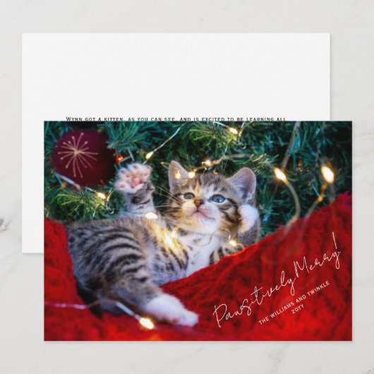 Modern Pet-fotoscript op powsitieve wijze samenvoe Feestdagenkaart (Voorkant / Achterkant)