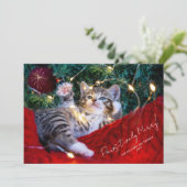 Modern Pet-fotoscript op powsitieve wijze samenvoe Feestdagenkaart (Staand voorkant)