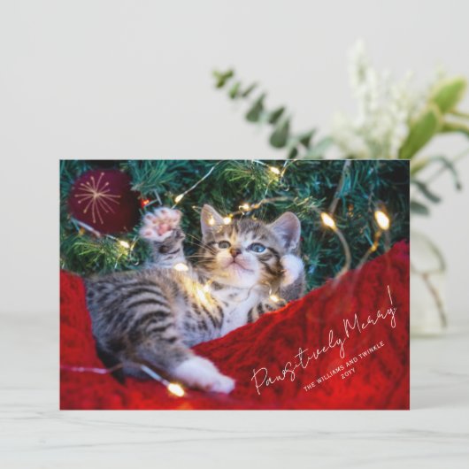 Modern Pet-fotoscript op powsitieve wijze samenvoe Feestdagenkaart (Staand voorkant)