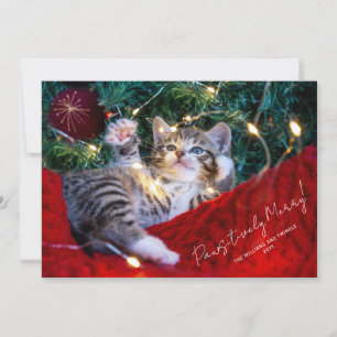Modern Pet-fotoscript op powsitieve wijze samenvoe Feestdagenkaart