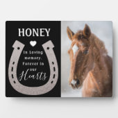 Modern Pet Horse Photo Memorial Fotoplaat (voorkant)