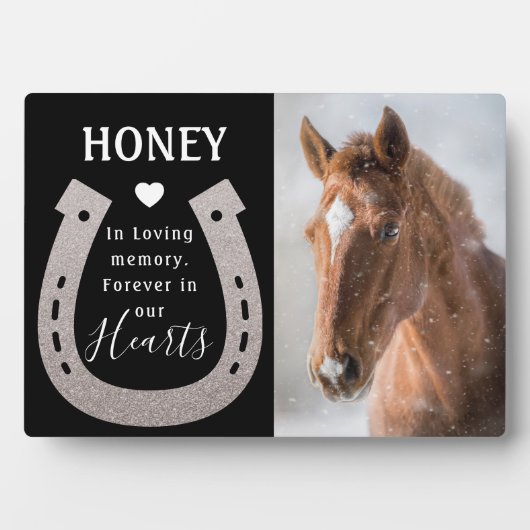 Modern Pet Horse Photo Memorial Fotoplaat (voorkant)