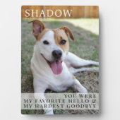 Modern Pet Memorial Dog Loss Photo Keepsake Fotoplaat (voorkant)