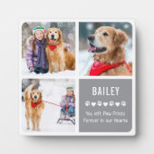 Modern Pet Memorial Photo Collage Fotoplaat (Voorkant)