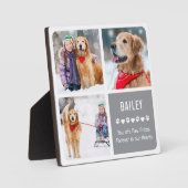 Modern Pet Memorial Photo Collage Fotoplaat (Voorkant)