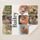 Modern Pet Photo Collage Personalized Hondenliefhe Sherpa Deken (Voorkant (horizontaal))