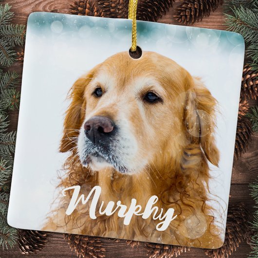 Modern Pet Photo gepersonaliseerd grillig Hondenli Keramisch Ornament