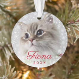 Modern Pet Photo Paw Print and Snowflake Lijst Ornament