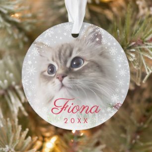 Modern Pet Photo Paw Print and Snowflake Lijst Ornament