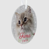 Modern Pet Photo Paw Print and Snowflake Lijst Ornament (voorkant)