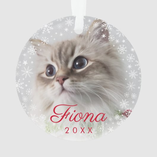 Modern Pet Photo Paw Print and Snowflake Lijst Ornament (achterkant)