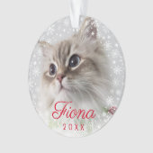 Modern Pet Photo Paw Print and Snowflake Lijst Ornament (voorkant)