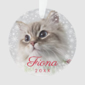 Modern Pet Photo Paw Print and Snowflake Lijst Ornament (voorkant)