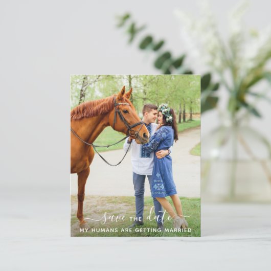 Modern Pet Photo Pet Wedding Save the Date (Staand voorkant)