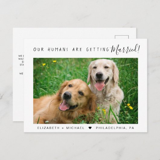 Modern Pet Photo Verloving Aankondigingskaart (Voorkant / Achterkant)