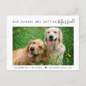 Modern Pet Photo Verloving Aankondigingskaart (Voorkant)
