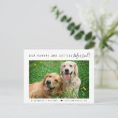 Modern Pet Photo Verloving Aankondigingskaart (Staand voorkant)