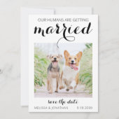 Modern Pet Photo Verloving Dog Weddenschap Save th Save The Date (Voorkant)