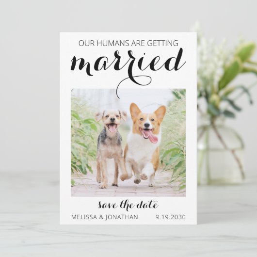Modern Pet Photo Verloving Dog Weddenschap Save th Save The Date (Staand voorkant)