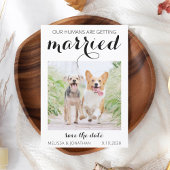 Modern Pet Photo Verloving Dog Weddenschap Save th Save The Date