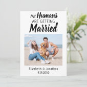 Modern Photo Dog Wedding Save The Date (Staand voorkant)